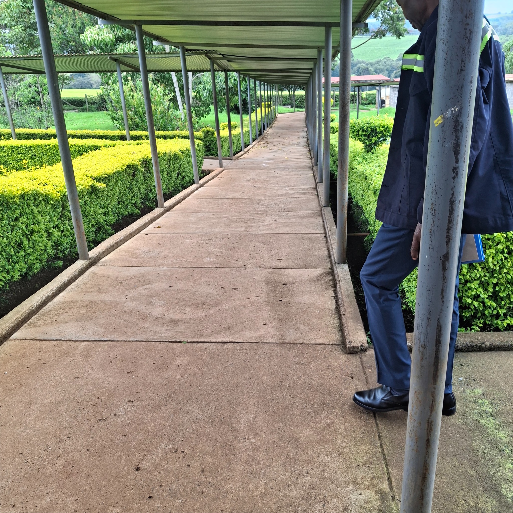 Chemasingi paved walkway